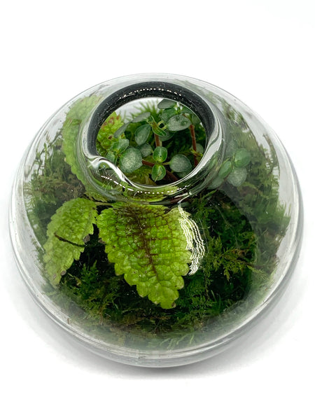 micro sphere